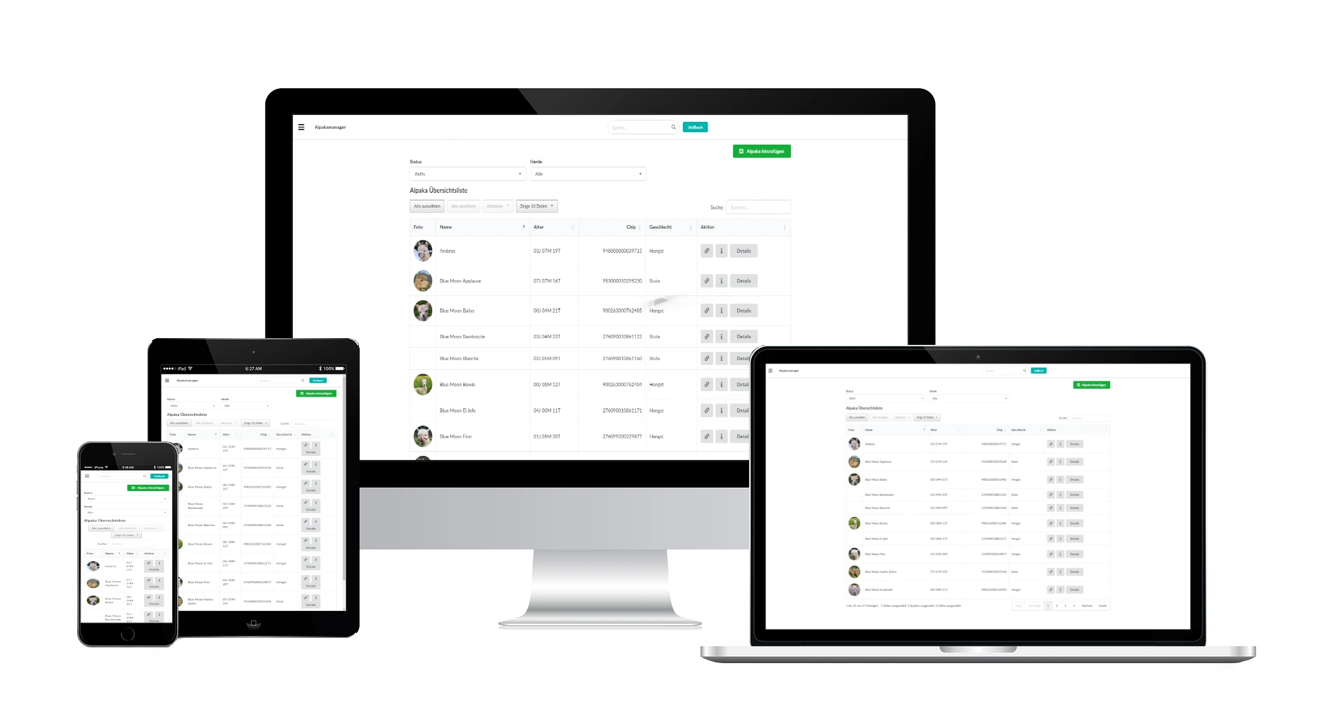 Responsive Design
